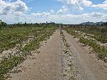 bicyclists, Rupununi, Guyana