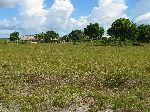 house, Rupununi Savannah, Guyana