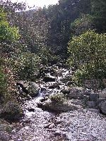 mountain stream