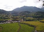 South Korean farm land