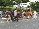 Display for farming in the 1950, in the Jinju parade