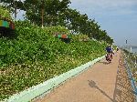 Han River bike trail