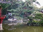Buyongjeon, Huwon, Secret Garden, Changdeokgung