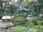 Ongnyucheon, Huwon, Secret Garden, Changdeokgung