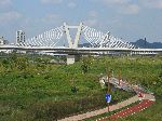 Fan-style cable-stay bridge, Sejong, Korea