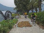 Bicycling through farming communities, Damyang, Korea