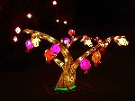Pomegranite tree  lantern, Jinju's Namgang Yudeung (Lantern) Festival