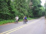 Bicycling backroad of Bainbridge Island